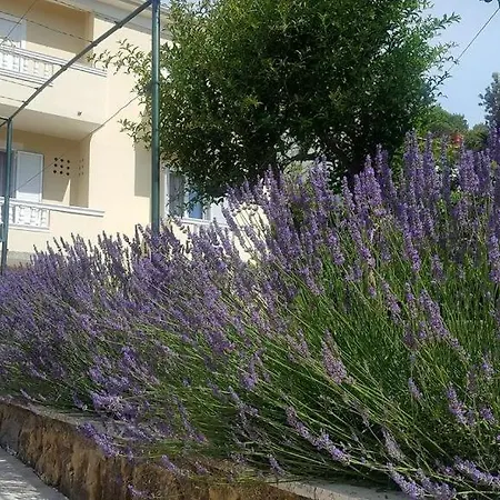 In With Balcony, Air Conditioning, Wifi, Dishwasher 4888-1 Banjol